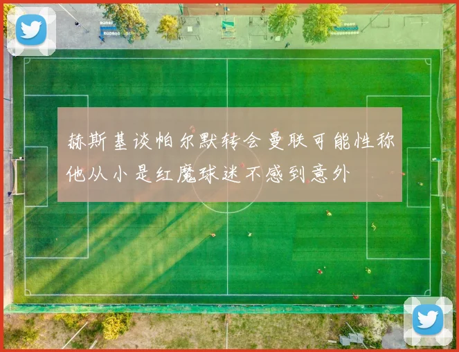 赫斯基谈帕尔默转会曼联可能性称他从小是红魔球迷不感到意外