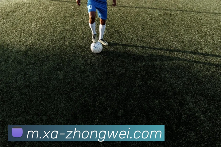 问鼎网站APP 封面图